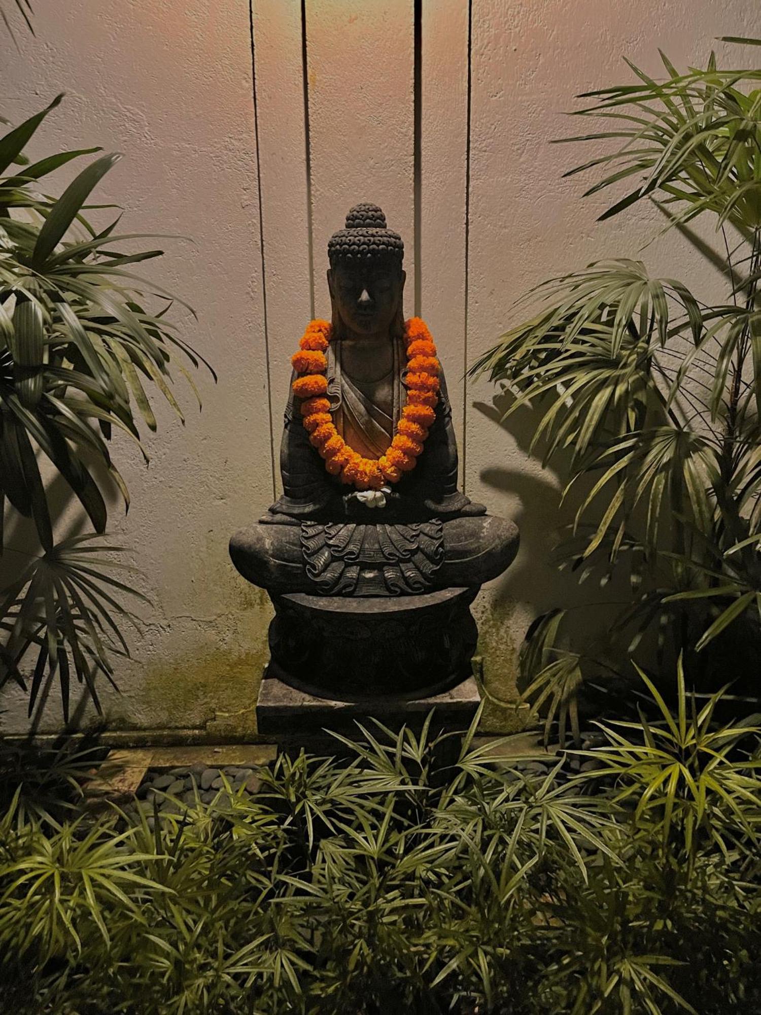 Shamballa Moon Ubud  Exterior photo